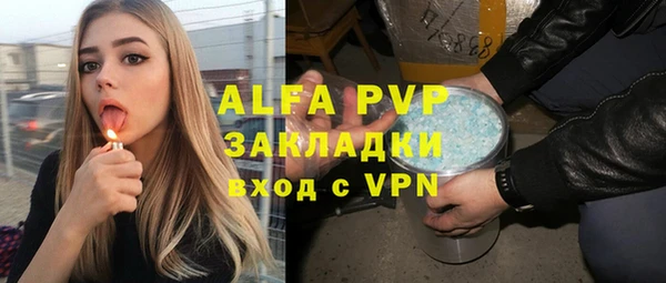 ПСИЛОЦИБИНОВЫЕ ГРИБЫ Богданович