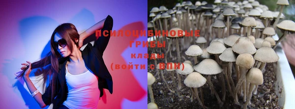 ПСИЛОЦИБИНОВЫЕ ГРИБЫ Богданович