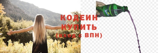ПСИЛОЦИБИНОВЫЕ ГРИБЫ Богданович