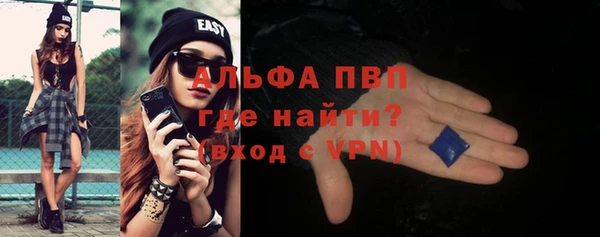 ПСИЛОЦИБИНОВЫЕ ГРИБЫ Богданович