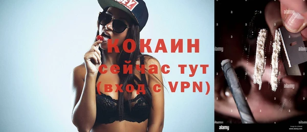 ПСИЛОЦИБИНОВЫЕ ГРИБЫ Богданович