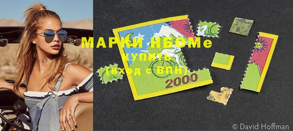 ПСИЛОЦИБИНОВЫЕ ГРИБЫ Богданович