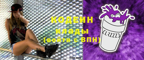 ПСИЛОЦИБИНОВЫЕ ГРИБЫ Богданович