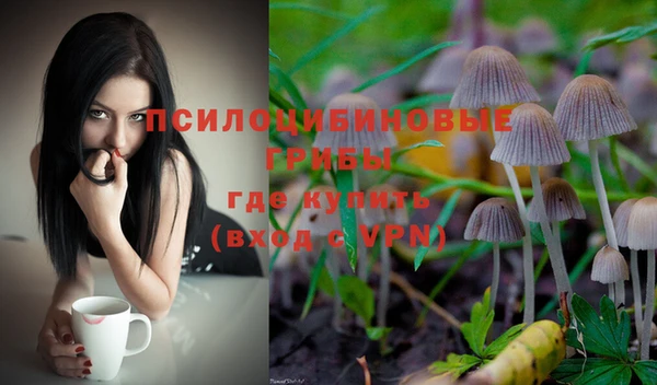 ПСИЛОЦИБИНОВЫЕ ГРИБЫ Богданович