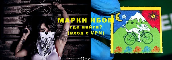 ПСИЛОЦИБИНОВЫЕ ГРИБЫ Богданович
