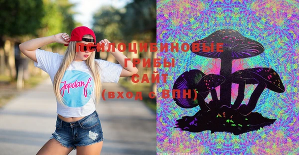 ПСИЛОЦИБИНОВЫЕ ГРИБЫ Богданович