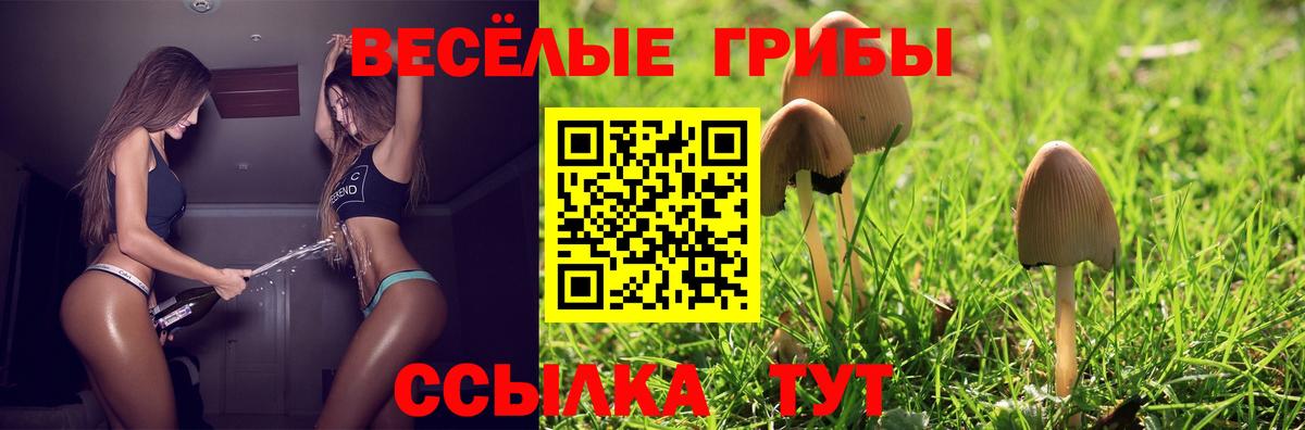 Галлюциногенные грибы MAGIC MUSHROOMS Малоярославец